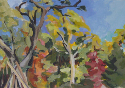 Autumn Colors, Rock Creek Park, 2003, 12x 18.5 inches