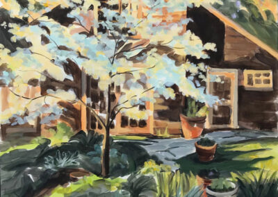 Dogwood, Late Afternoon Sun, 2021, 35.75x 28 inches