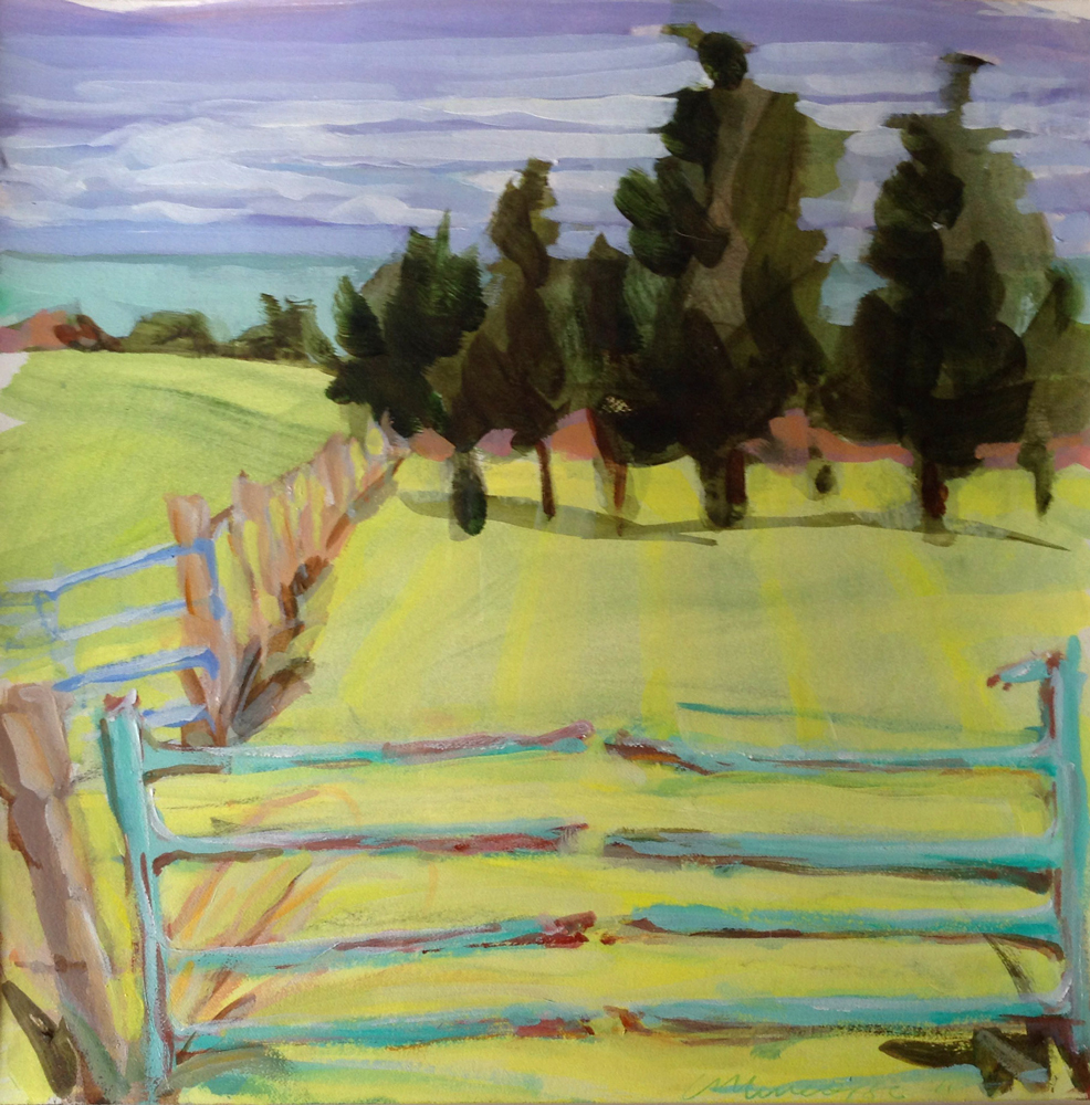 Fences, Allen Farm, 2011, 11x 10.5 inches