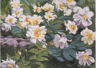 White Wildflowers, 2011, 19x 23.75 inches
