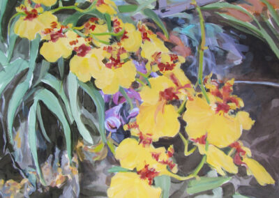 Yellow Orchids, 2011, 18.25x 20.5 inches